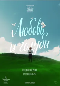 Любовь и голуби (1984) смотреть онлайн - LordFilm